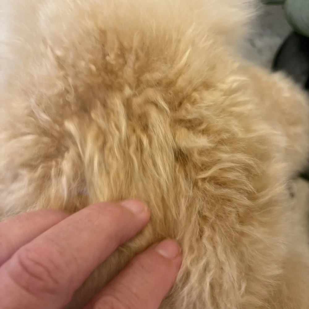 Teddy Bear Handmade 100% Baby Alpaca Wool Cream Tan Unique Stuffed Soft Plush
